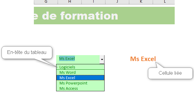 Excel, Paramétrer les propriétés d'apparence d'une liste déroulante ActiveX.
