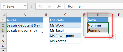 Excel, Le tableau source pour définir le sexe.